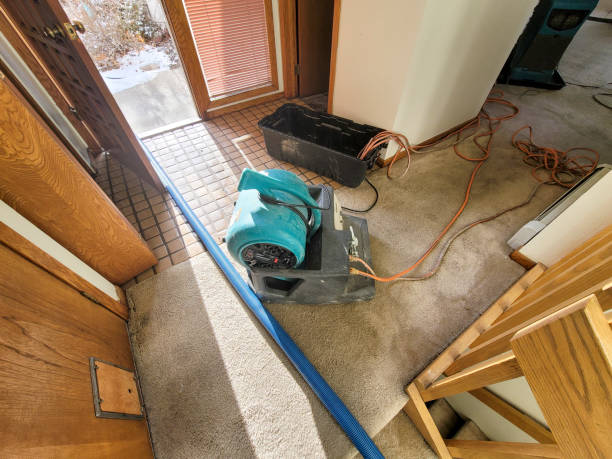 Best Flooded house restoration  in Redland, MD