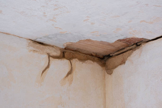 Carpet water damage restoration in Redland, MD