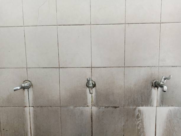 Best Water damage restoration experts  in Redland, MD