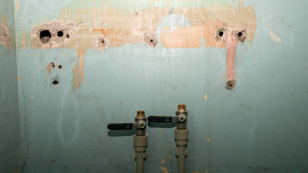 Best Water damage restoration near me  in Redland, MD