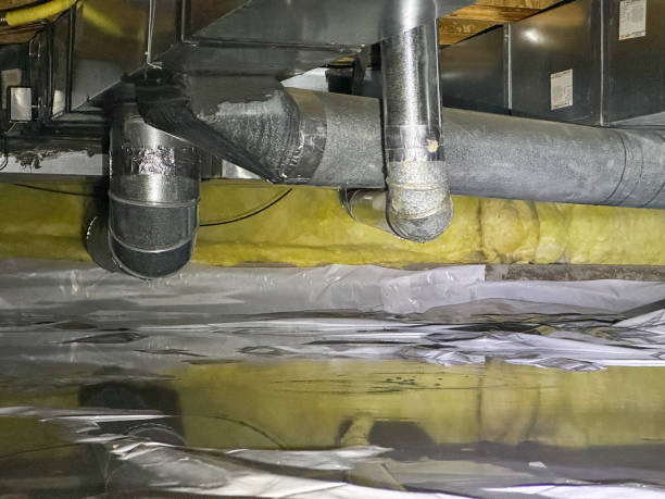 Best Carpet water damage restoration  in Redland, MD