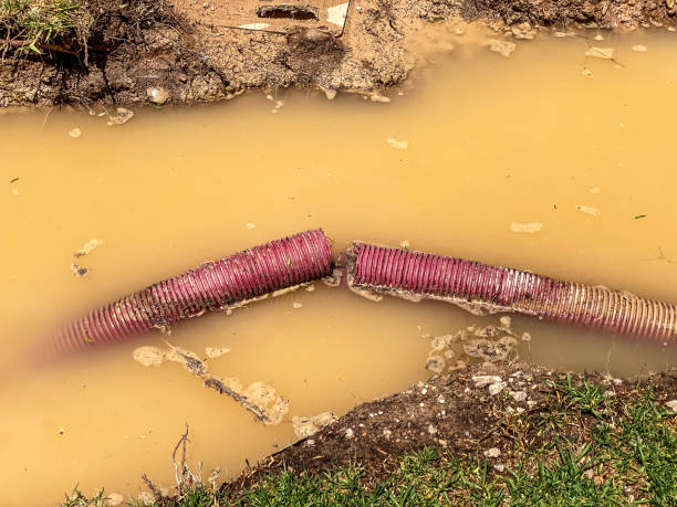 Best 24/7 water damage repair  in Redland, MD