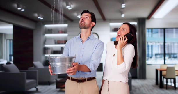 Best Ceiling water damage repair  in Redland, MD
