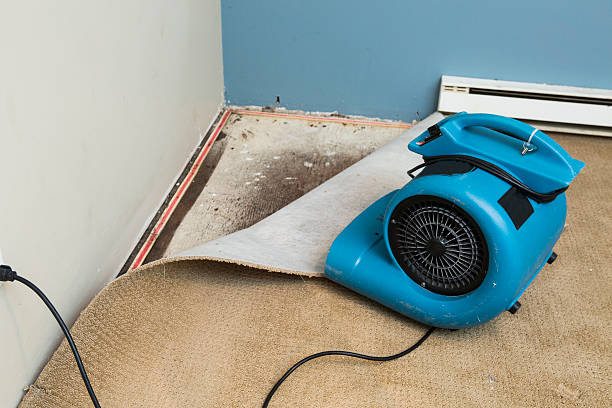 Best 24-hour water damage restoration  in Redland, MD